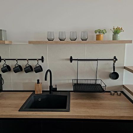 Appartement Stan Na Dan Krsmanovic à Čačak Extérieur photo
