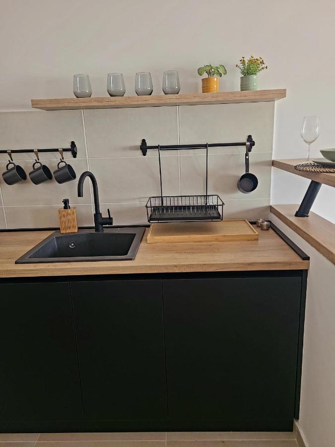 Appartement Stan Na Dan Krsmanovic à Čačak Extérieur photo
