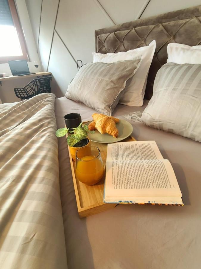 Appartement Stan Na Dan Krsmanovic à Čačak Extérieur photo