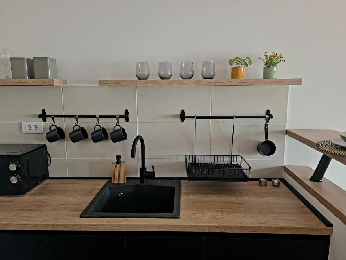 Appartement Stan Na Dan Krsmanovic à Čačak Extérieur photo
