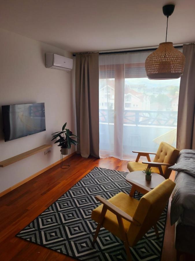Appartement Stan Na Dan Krsmanovic à Čačak Extérieur photo