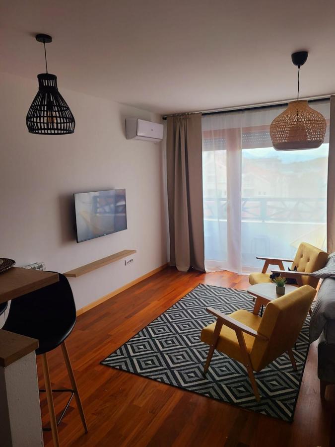 Appartement Stan Na Dan Krsmanovic à Čačak Extérieur photo