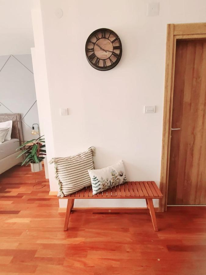 Appartement Stan Na Dan Krsmanovic à Čačak Extérieur photo